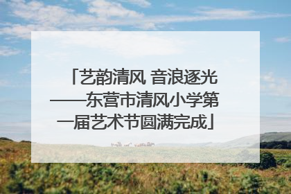 艺韵清风 音浪逐光——东营市清风小学第一届艺术节圆满完成