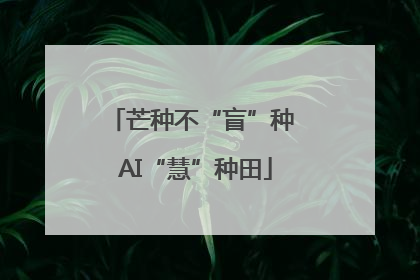 芒种不“盲”种 AI“慧”种田