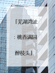 芜湖湾沚：桃香满园醉枝头