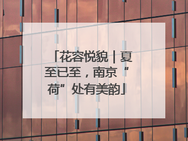 花容悦貌｜夏至已至，南京“荷”处有美韵