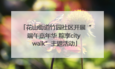 花山街道竹园社区开展“端午嘉年华 粽享city walk”主题活动