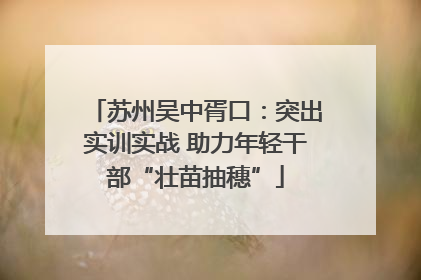苏州吴中胥口：突出实训实战 助力年轻干部“壮苗抽穗”