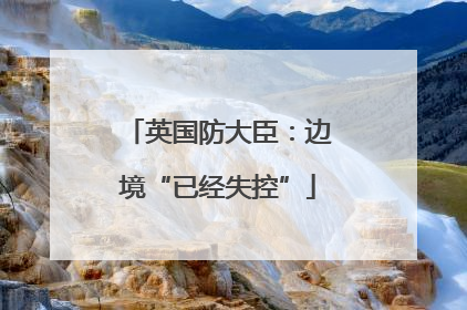 英国防大臣：边境“已经失控”
