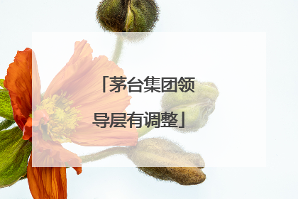 茅台集团领导层有调整