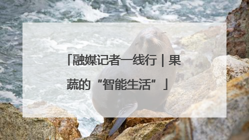 融媒记者一线行｜果蔬的“智能生活”