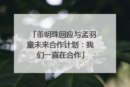 董明珠回应与孟羽童未来合作计划：我们一直在合作