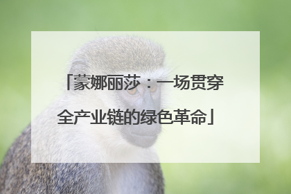蒙娜丽莎：一场贯穿全产业链的绿色革命
