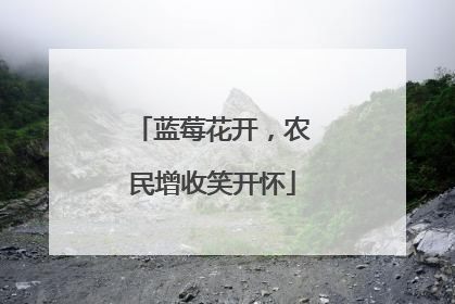 蓝莓花开，农民增收笑开怀