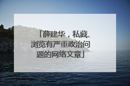 薛建华，私藏、浏览有严重政治问题的网络文章