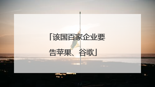 该国百家企业要告苹果、谷歌