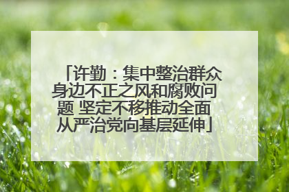 许勤：集中整治群众身边不正之风和腐败问题 坚定不移推动全面从严治党向基层延伸