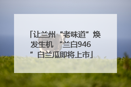 让兰州“老味道”焕发生机 “兰白946”白兰瓜即将上市