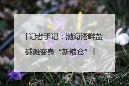 记者手记：渤海湾畔盐碱滩变身“新粮仓”