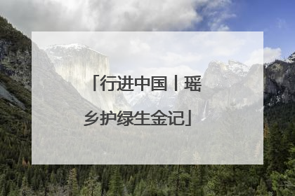 行进中国丨瑶乡护绿生金记