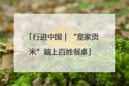 行进中国｜“皇家贡米”端上百姓餐桌