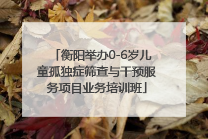 衡阳举办0-6岁儿童孤独症筛查与干预服务项目业务培训班