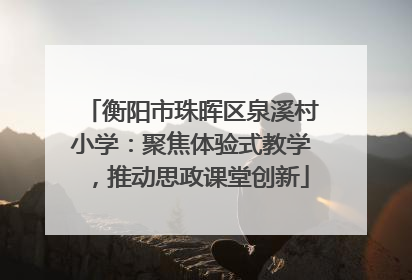 衡阳市珠晖区泉溪村小学：聚焦体验式教学，推动思政课堂创新