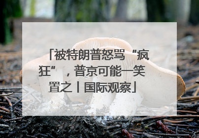 被特朗普怒骂“疯狂”，普京可能一笑置之丨国际观察