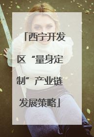西宁开发区“量身定制”产业链发展策略
