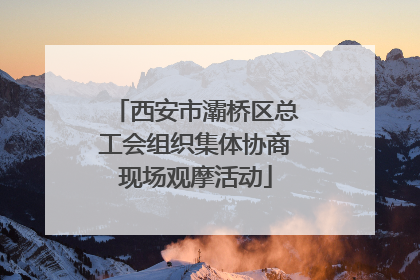 西安市灞桥区总工会组织集体协商现场观摩活动
