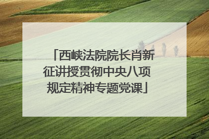 西峡法院院长肖新征讲授贯彻中央八项规定精神专题党课