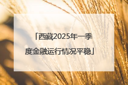 西藏2025年一季度金融运行情况平稳