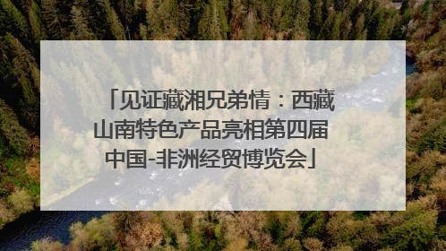 见证藏湘兄弟情：西藏山南特色产品亮相第四届中国-非洲经贸博览会