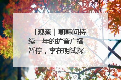 观察｜朝韩间持续一年的扩音广播暂停，李在明试探性将球踢向朝鲜