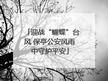 迎战“蝴蝶”台风 保亭公安风雨中守护平安
