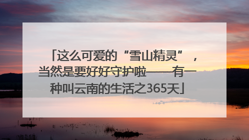 这么可爱的“雪山精灵”，当然是要好好守护啦——有一种叫云南的生活之365天