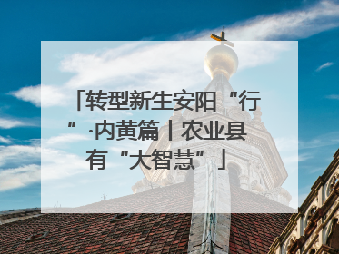 转型新生安阳“行”·内黄篇丨农业县有“大智慧”
