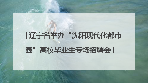 辽宁省举办“沈阳现代化都市圈”高校毕业生专场招聘会