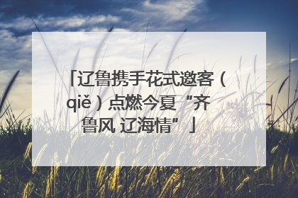 辽鲁携手花式邀客（qiě）点燃今夏“齐鲁风 辽海情”