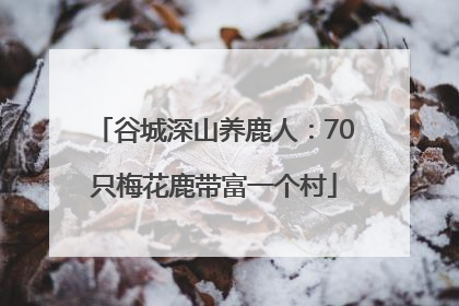 谷城深山养鹿人：70只梅花鹿带富一个村
