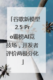 谷歌新模型2.5 Pro霸榜AI竞技场，开发者评价两极分化