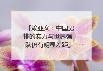 赖亚文：中国男排的实力与世界强队仍有明显差距