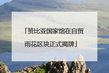 赞比亚国家馆在自贸雨花区块正式揭牌