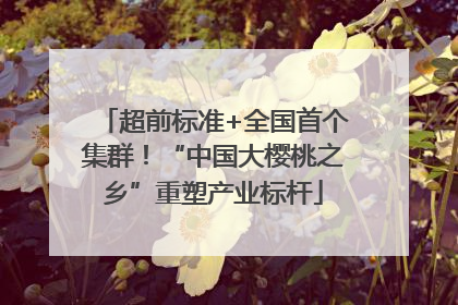 超前标准+全国首个集群！“中国大樱桃之乡”重塑产业标杆
