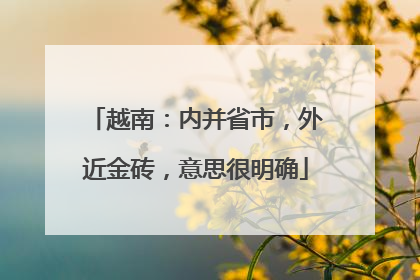越南：内并省市，外近金砖，意思很明确