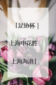 足协杯｜上海申花胜上海海港