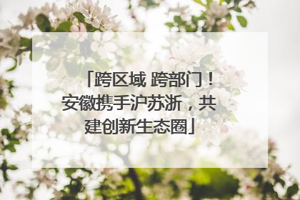 跨区域 跨部门！安徽携手沪苏浙，共建创新生态圈