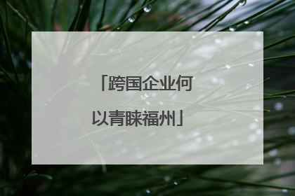 跨国企业何以青睐福州