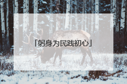 躬身为民践初心