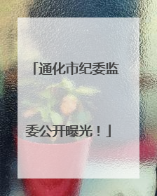 通化市纪委监委公开曝光！
