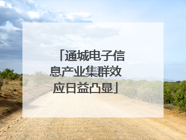 通城电子信息产业集群效应日益凸显