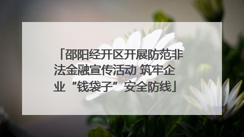 邵阳经开区开展防范非法金融宣传活动 筑牢企业“钱袋子”安全防线