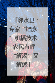 邻水县：专家“把脉”机播技术 农民直呼“解渴”又解惑