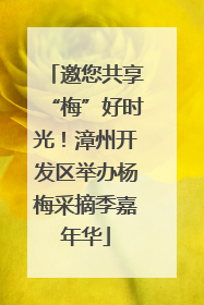 邀您共享“梅”好时光！漳州开发区举办杨梅采摘季嘉年华