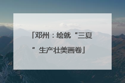 邓州：绘就“三夏”生产壮美画卷