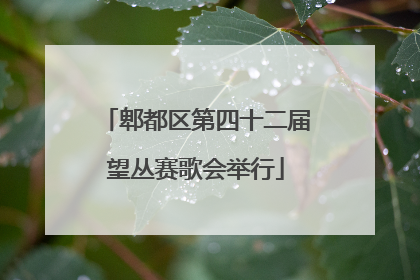 郫都区第四十二届望丛赛歌会举行